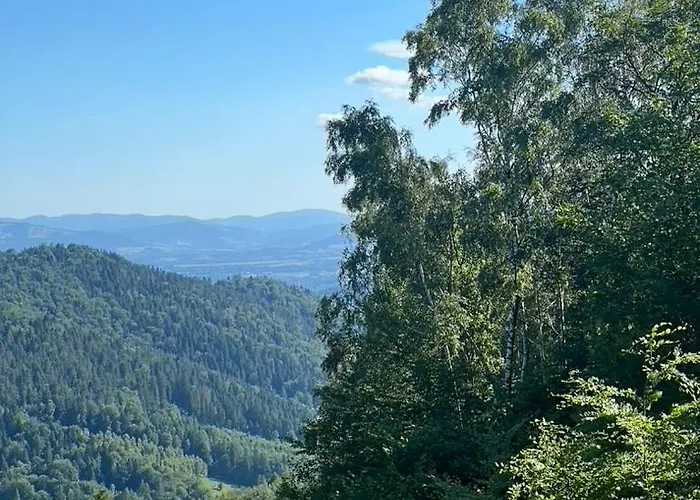 Cinalkowa 6, Na Gorze Zar * מידז'יברודז'י ז'יוויקי